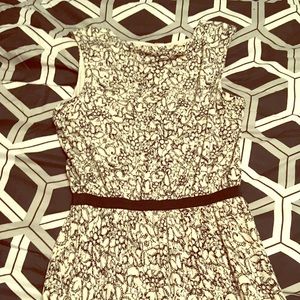 Cream and Black LOFT dress